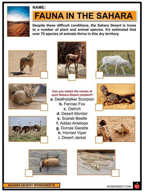 Africa Sahara Desert Animals