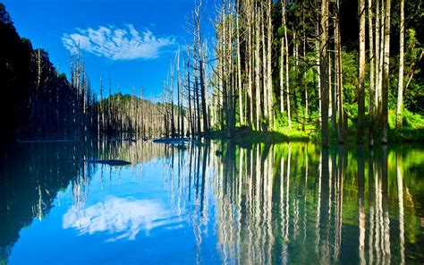 Beautiful Nature Scenery Lake Trees Water Reflection
