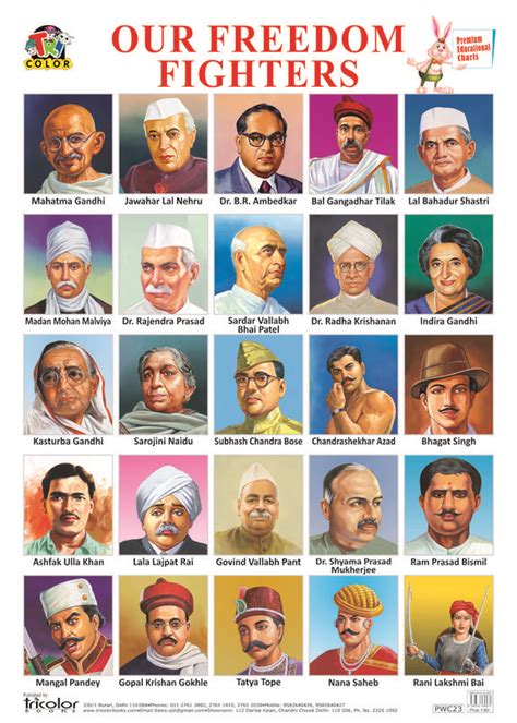Buy Tricolor Premium Educational Charts Our Freedom Fighters Book