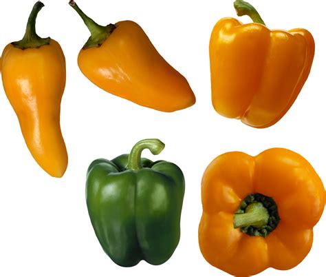 Pepper Png Image Purepng Free Transparent Cc0 Png Image Library