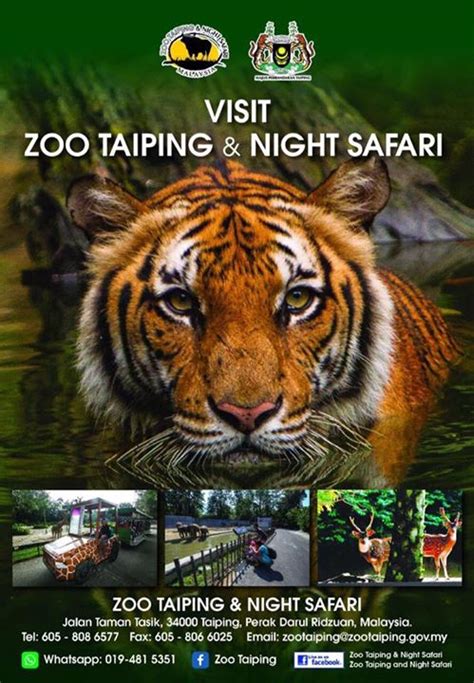 Zoo taiping and night safari memerlukan sumbangan syarikat dan ahli korporat untuk menampung perbelanjaan makanan kepada haiwan di zoo berkenaan yang semakin meningkat dari semasa ke semasa. Zoo Taiping Beri Diskaun Hebat Kepada Semua Warga Perak ...