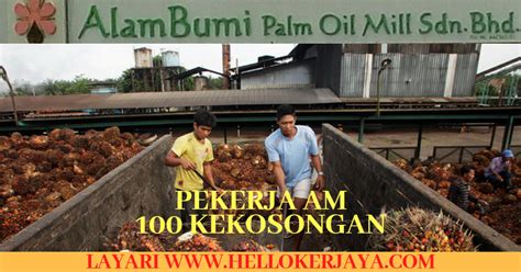 2 canadian western r ed spring. Jawatan Kosong Di AlamBumi Palm Oil Mill Sdn Bhd (Sarawak ...