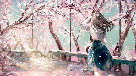 Download 1920x1080 Cherry Blossom Sakura Anime Girl Back View