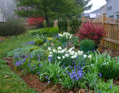 Curving borders, like this one in ralph hasting's whidbey island, washington, garden, are more interesting ― and more complementary with casual landscapes. Foggy spring morning - main perennial border - 3/22/2012 ...