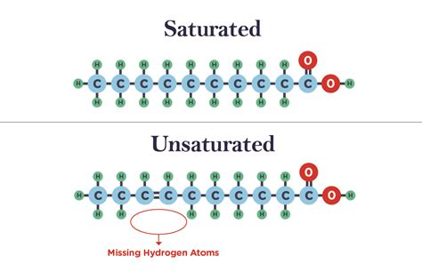 Saturated And Unsaturated Fat Structure My Xxx Hot Girl