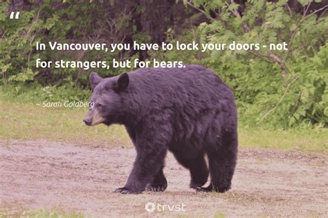 20 Bear Quotes And Saying About Bears