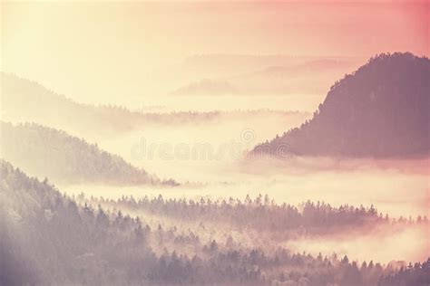 Foggy Mist Sunrise Around The Hills Top Mountain Forest Landscape