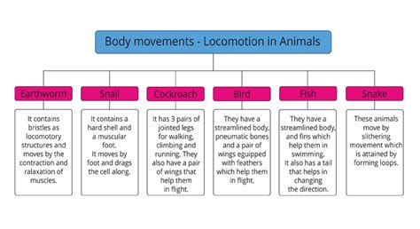 Mind Map For Locomotion In Animals — Lesson Science Cbse Class 6
