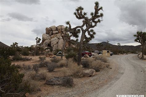 Ryan Campground Joshua Tree National Park Gallery Wander The West