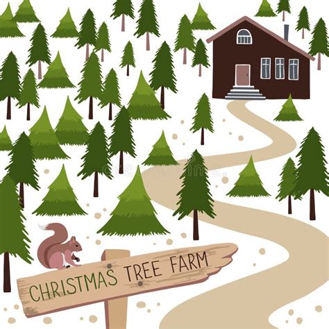 Christmas Tree Farm Vector Illustration Stock Vector Illustration Of