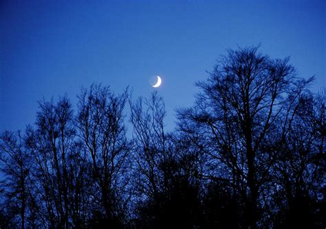 Crescent Moon Rising Over Trees Photograph By Robin Scagellscience