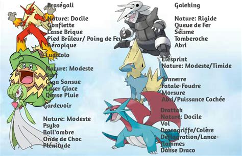 La Meilleure équipe Pour Rubis Saphir Et Émeraude Partie 1 Pokémon