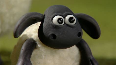 Shaun The Sheep Abc Iview