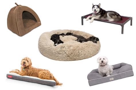 The comfort on this bed your dog will love. Best Dog Beds: Top-Rated Dog Beds 2019 - American Kennel Club