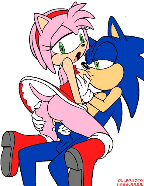 1259043 Amy Rose Habbodude Sonic Team Sonic The Hedgehog