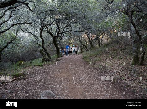 people, walking, hiking trail, Arroyo de San Jose, waterfall, open