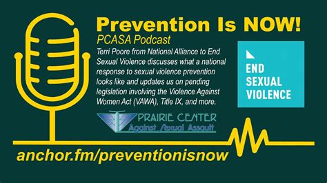 Prevention Is Now National Alliance To End Sexual Violence Youtube