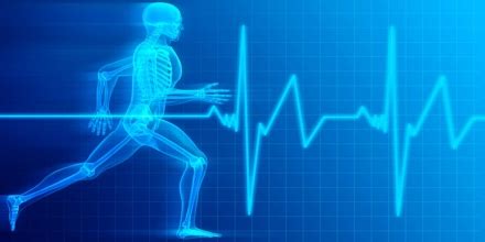 Exercise Physiology - Assignment Point