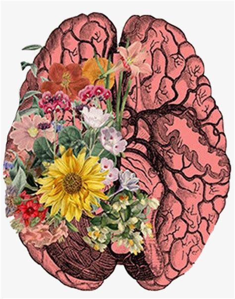 Brain Cerebro Art Flores Freetoedit Brain And Flower Art