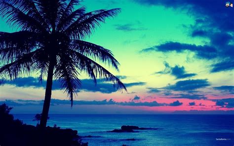 Wallpaper Sunset Sea Sky Beach Evening Coast Palm