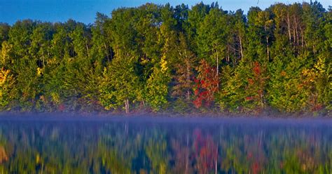 This golf cabin also has a garden. Indian River Campground, Hiawatha, MI: