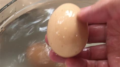 Murrays Best Egg Wash From Mcmurray Hatchery Youtube
