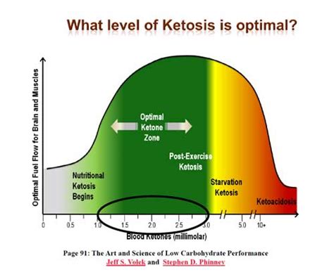 A sudden burst of abnormal brain activity is called a seizure. Ketogenic Diet in Combination with Calorie Restriction and