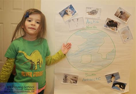 Many travelers will ask whether their first polar cruise should be to the. Polar Animal Sort: Arctic vs Antarctic | Still Playing School