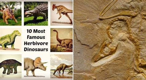 Top 10 Most Famous Dinosaurs Of All Time