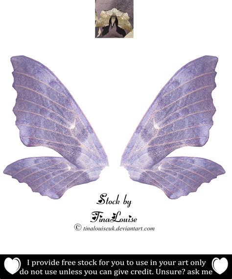 Slightly Transparent Purple Fairy Wings By Tinalouiseuk On Deviantart