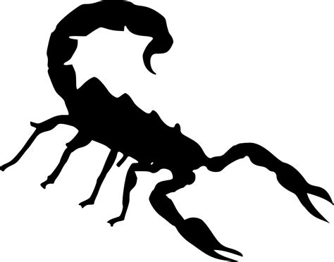 Scorpion Insect Silhouette Free Vector Graphic On Pixabay