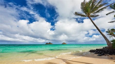 Morze Wyspa Maui Hawaje Plaża Chmury Palmy