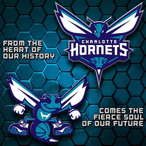 All images is transparent background and free download. Charlotte Hornets Reveal Their New Logo For Next Year ...