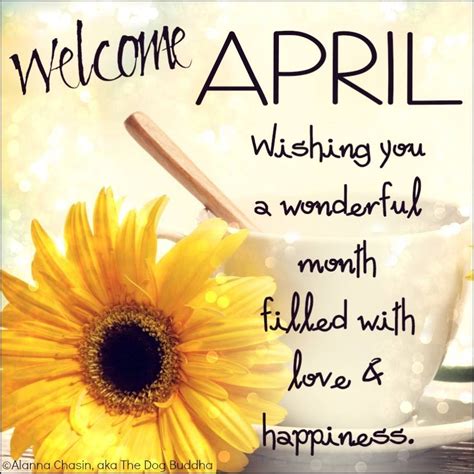 Welcome April Wishing You A Wonderful Month Filled With Love