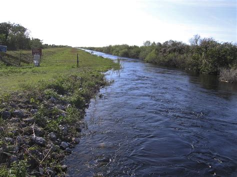 Once Parched, Florida's Everglades Finds Its Flow Again | NPR & Houston