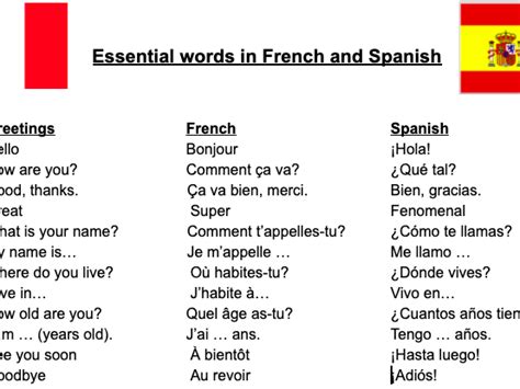 Ks3 Essential Words In French And Spanish With English Translation