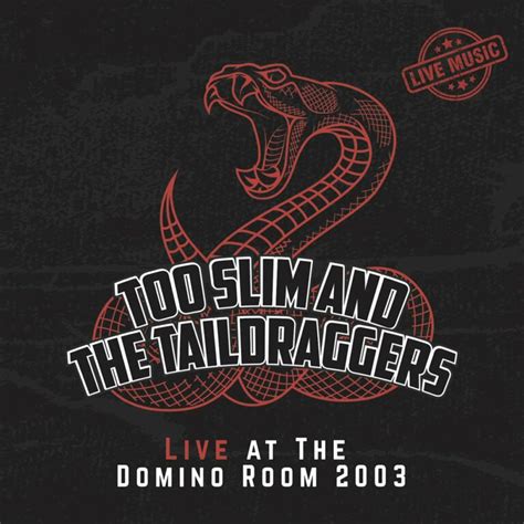 Review Too Slim And The Taildraggers Live At The Domino Room 2003 I