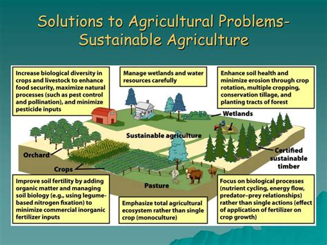 Ppt Food Resources A Challenge For Agriculture Powerpoint