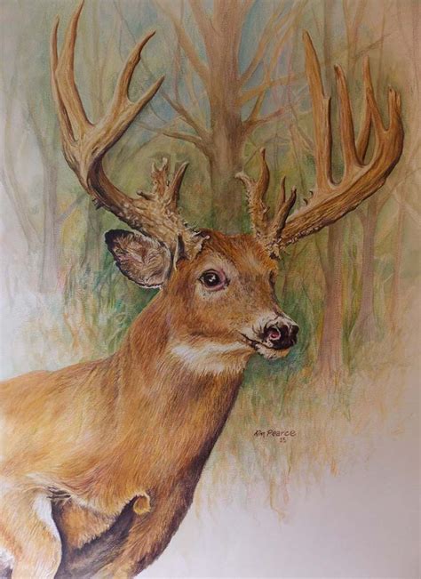 Maybe you would like to learn more about one of these? Pin on whitetail deer