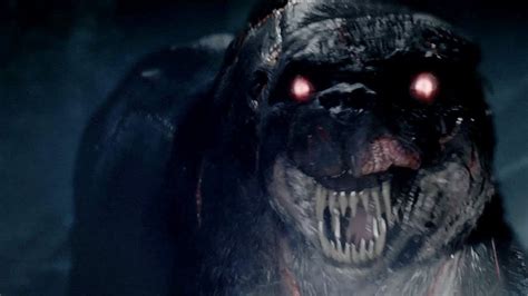 Check spelling or type a new query. Facing The Hound | The Hounds of Baskerville | Sherlock ...