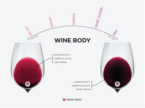 What Is Wine Body And How To Taste It Wine Oceans