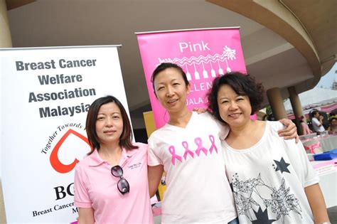 Breastcancer fund, american cancer society, american breast cancer foundation, association for women's rights in development (awid). brandoneu: Federation of Malaysian Manufacturers fund ...