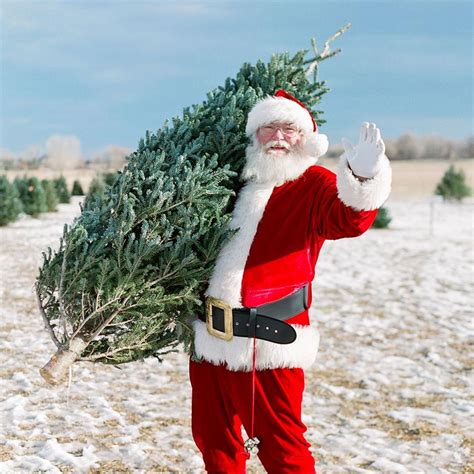 But if you're new to the game, don't forget to wear warm clothes, gloves and a solid pair of walking shoes. Cut Your Own Christmas Tree At Creekside Tree Nursery Near ...