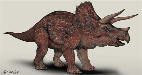 Jurassic Park Triceratops By Nikorex On Deviantart