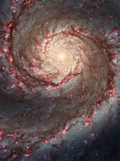 Hubble Acs Visible Image Of M51 The Whirlpool Galaxy 2685 X 3617