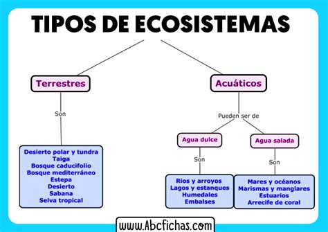 Introduccion Evaluacion Y Clasificacion De Los Ecosistemas Images Hot