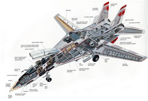 Grumman F 14 Tomcat Cutaway Drawing In High Quality