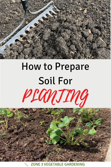 How To Prepare Garden Soil For Planting