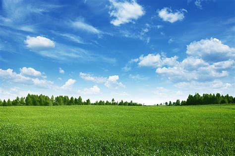 3399300 Grass Sky Stock Photos Pictures And Royalty Free Images Istock