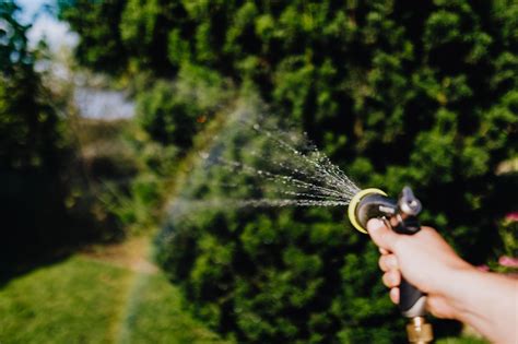 Lawn Watering Guide Best Time To Water Lawn The Lawn Shed